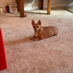 Meet your Posher, Dale